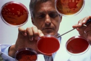 Science guy doing microbiology stuff with petri dishes.