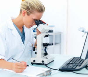 Mold sample analysis using a microscope. Scientist looking into a microscope studying mold or someting. 