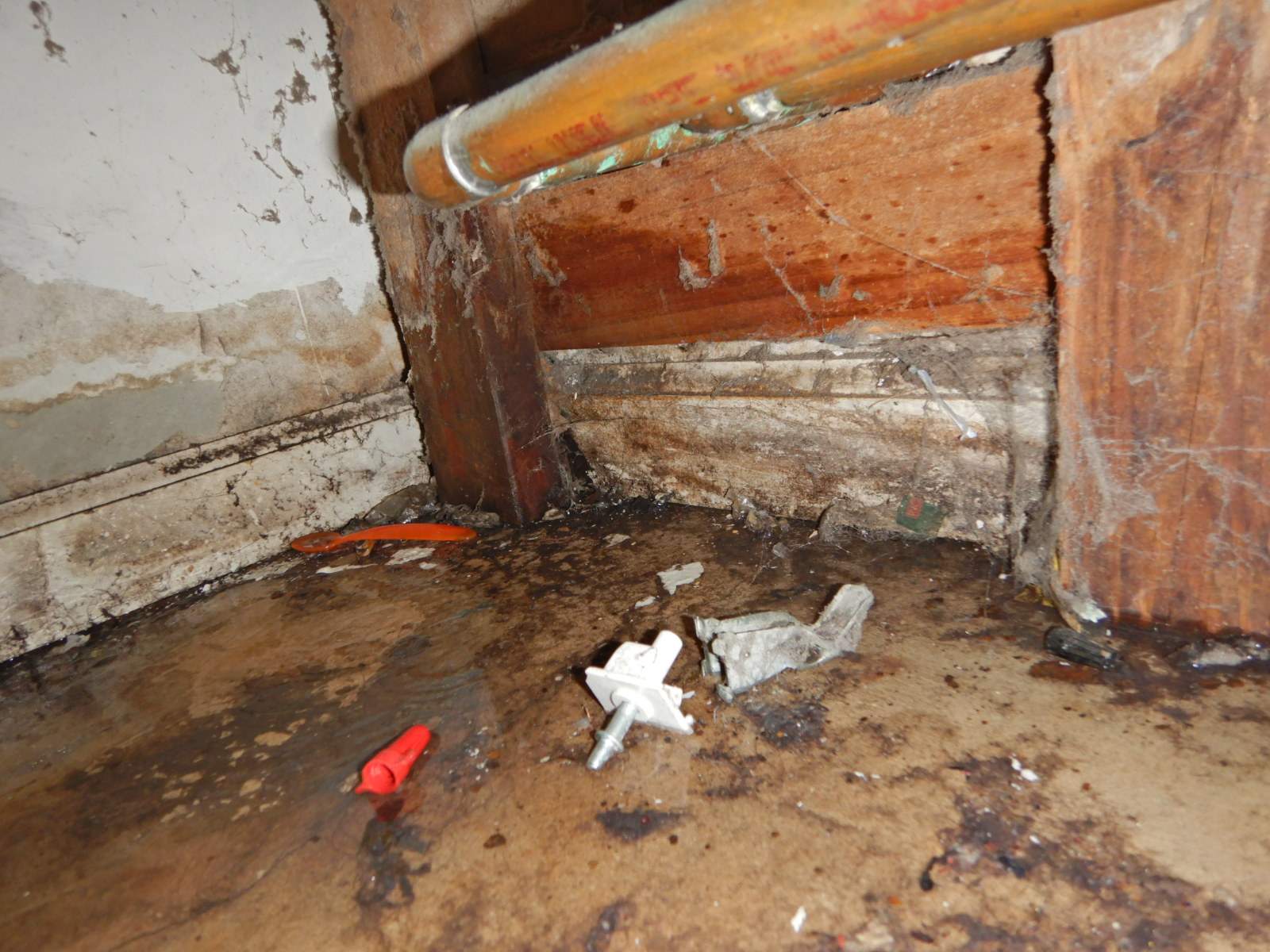 Can Mold Inspection Be Replaced by Home Mold Testing Kits?, by Vesa's Blog