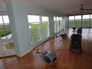 View from an Ocea Reef Club condo in North Key Largo.