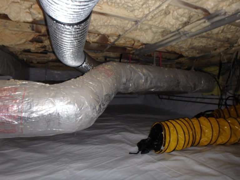 AC duct mold information from a West Palm Beach mold inspector.